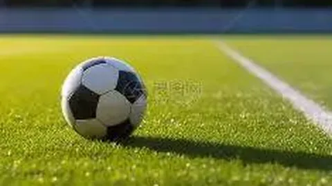 【独家揭秘】26012期大乐透中奖攻略：精准定位杀号，必中秘籍——04、06、08、09、13、29！